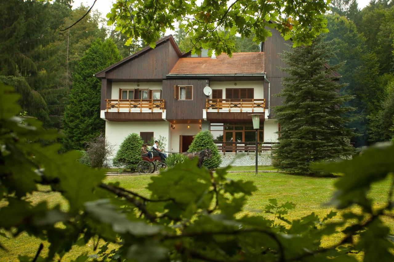 Отели типа «постель и завтрак» Kormos Residence Brăduţ-13