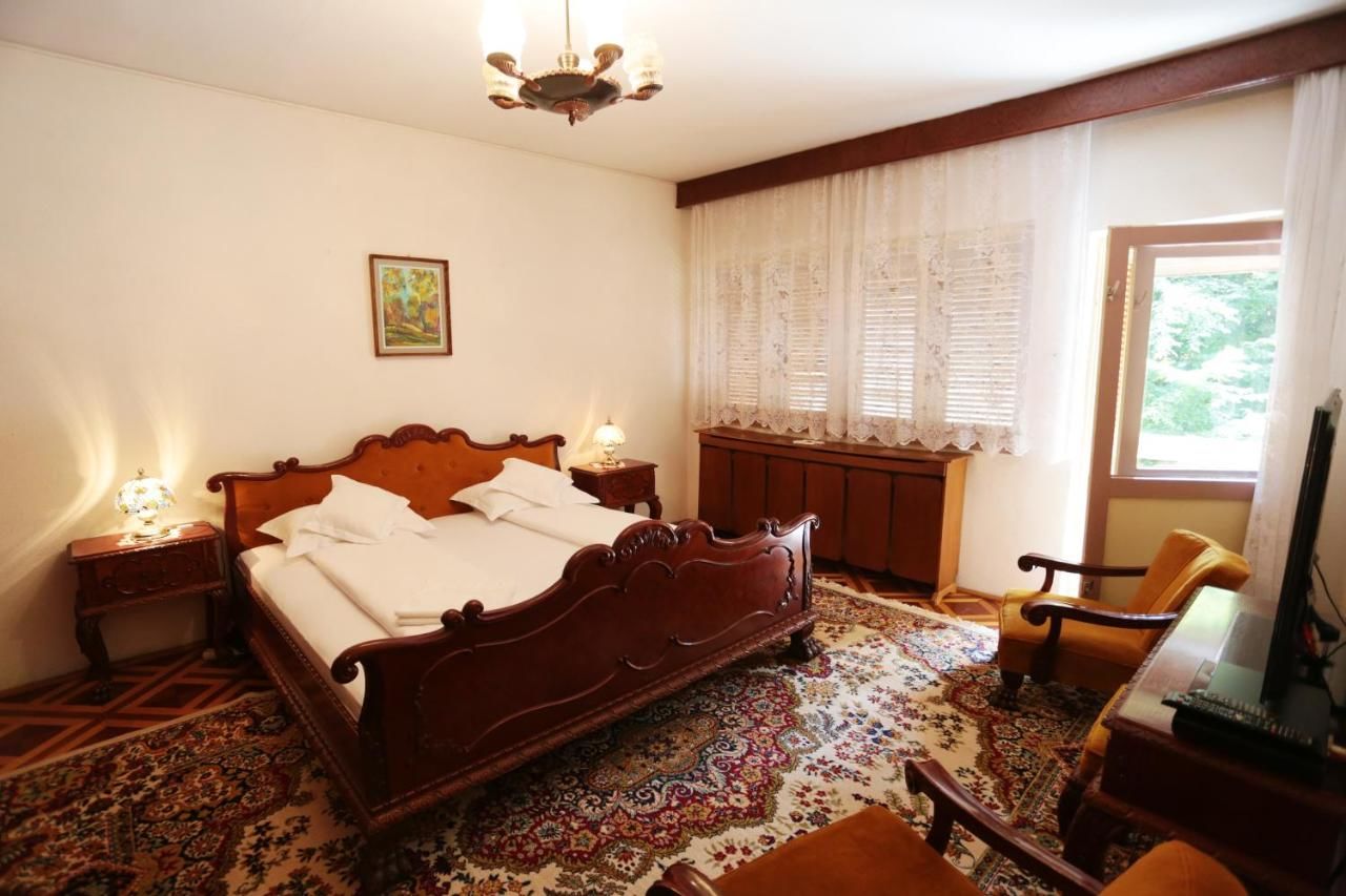 Отели типа «постель и завтрак» Kormos Residence Brăduţ-19
