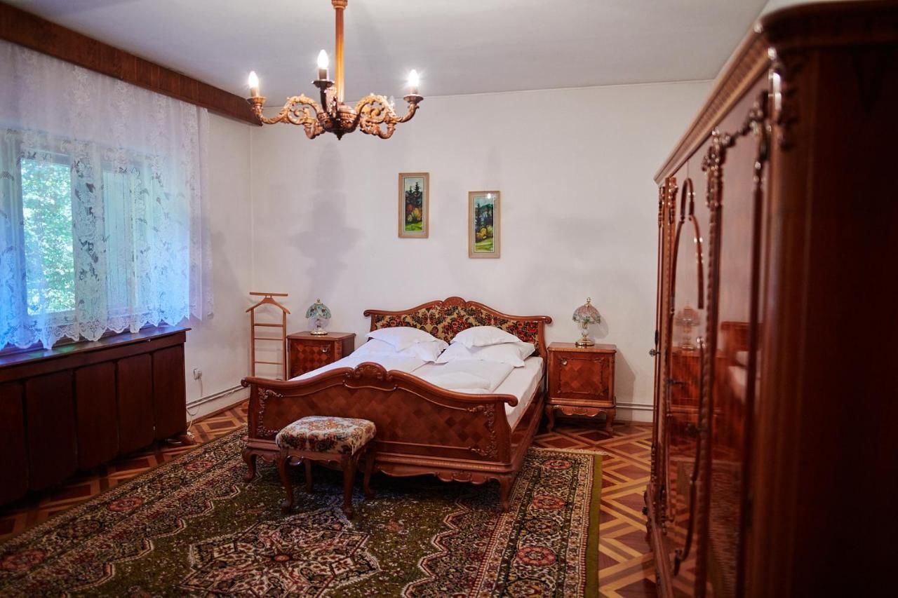 Отели типа «постель и завтрак» Kormos Residence Brăduţ-21
