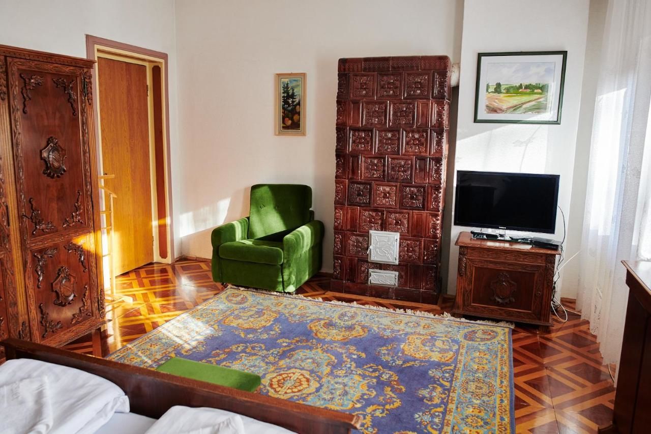 Отели типа «постель и завтрак» Kormos Residence Brăduţ-23