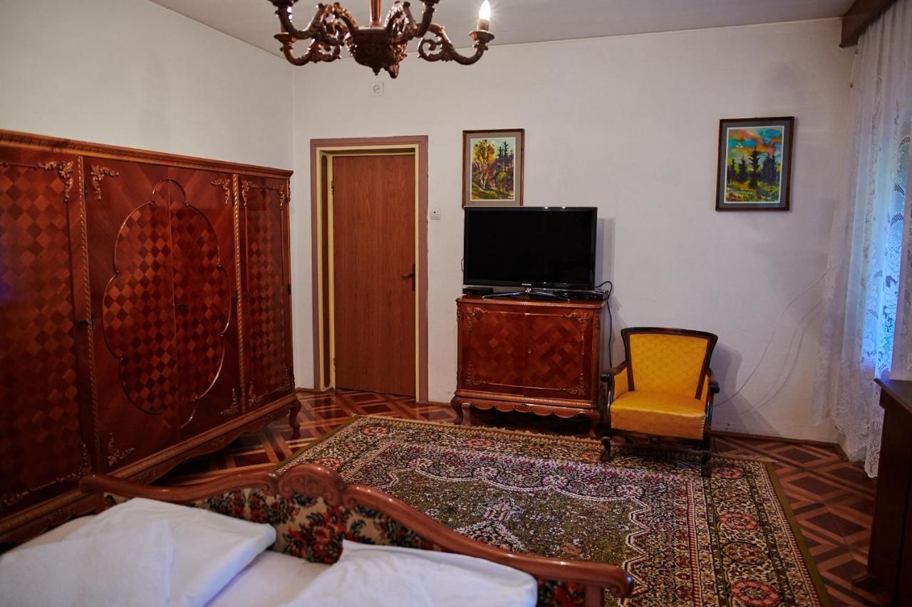 Отели типа «постель и завтрак» Kormos Residence Brăduţ-28