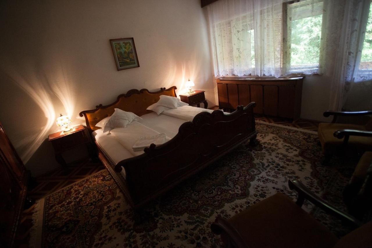 Отели типа «постель и завтрак» Kormos Residence Brăduţ-32