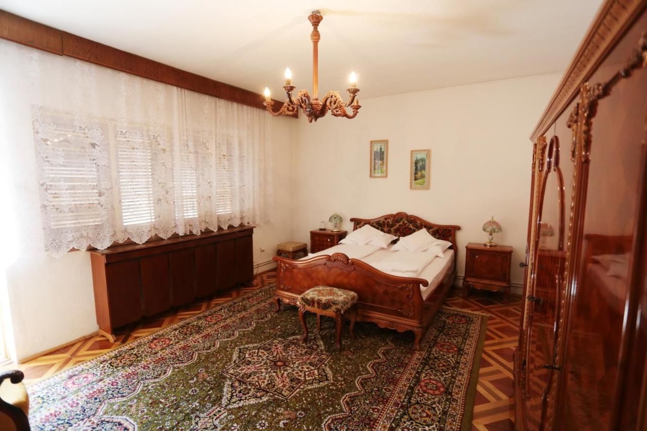 Отели типа «постель и завтрак» Kormos Residence Brăduţ-34