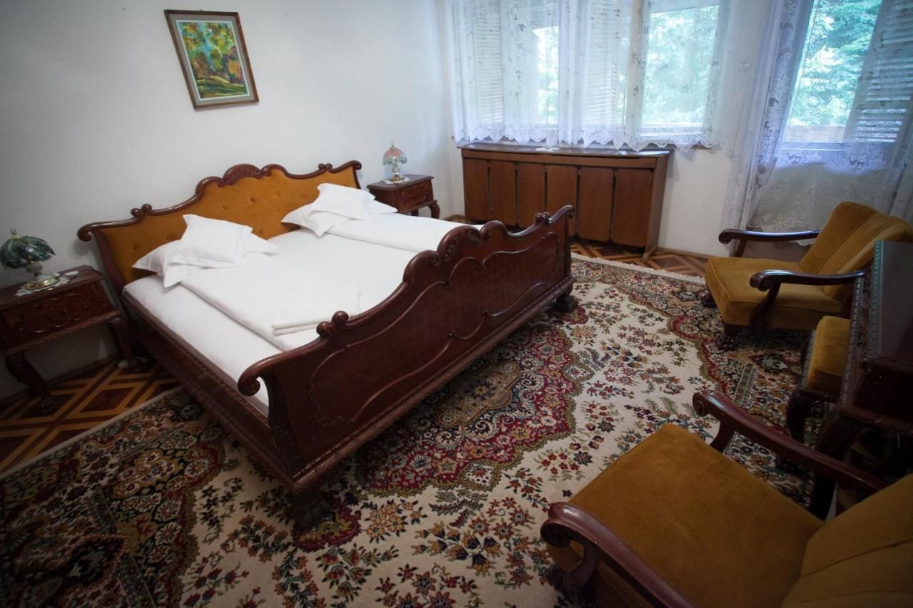 Отели типа «постель и завтрак» Kormos Residence Brăduţ-36