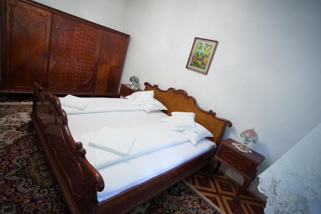 Отели типа «постель и завтрак» Kormos Residence Brăduţ-55