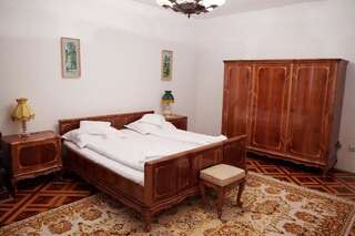 Отели типа «постель и завтрак» Kormos Residence Brăduţ Двухместный номер с 1 кроватью-1