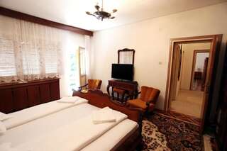 Отели типа «постель и завтрак» Kormos Residence Brăduţ Двухместный номер Делюкс с 1 кроватью и балконом-7