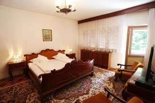 Отели типа «постель и завтрак» Kormos Residence Brăduţ Двухместный номер Делюкс с 1 кроватью и балконом-8