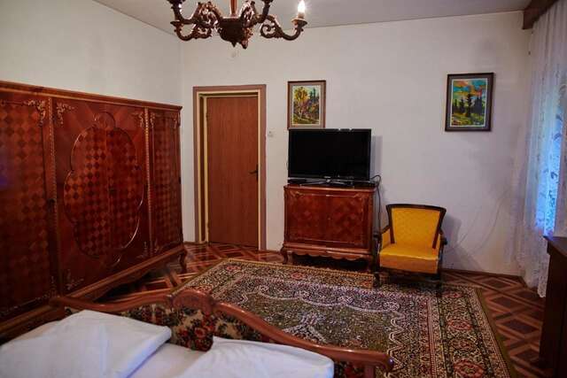 Отели типа «постель и завтрак» Kormos Residence Brăduţ-27
