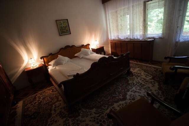 Отели типа «постель и завтрак» Kormos Residence Brăduţ-55